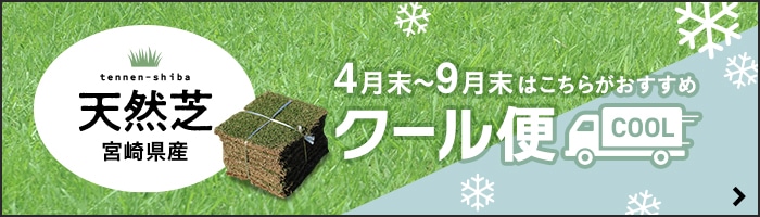 芝生 天然芝 高麗芝 宮崎県産 2束（2平米）入 ソッド | 人工芝の通販 | DIYショップRESTA