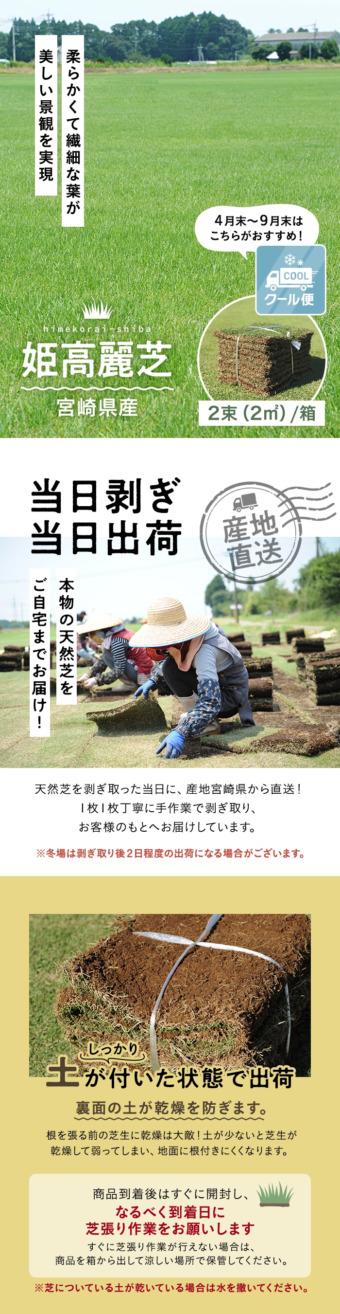 クール便】芝生 天然芝 姫高麗芝 宮崎県産 2束（2平米）入