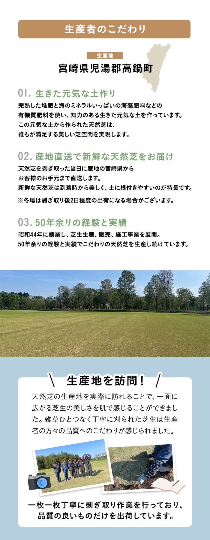 【クール便】芝生 天然芝 野芝 日向ターフ 省管理型 宮崎県産 2束（2平米）入