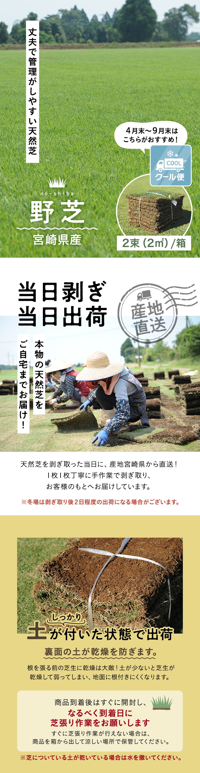 【クール便】芝生 天然芝 野芝 宮崎県産 2束(2平米)入 ソッド