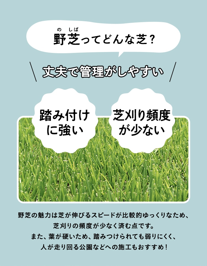 天然芝 野芝 宮崎県産 2束(2平米)入 ソッド