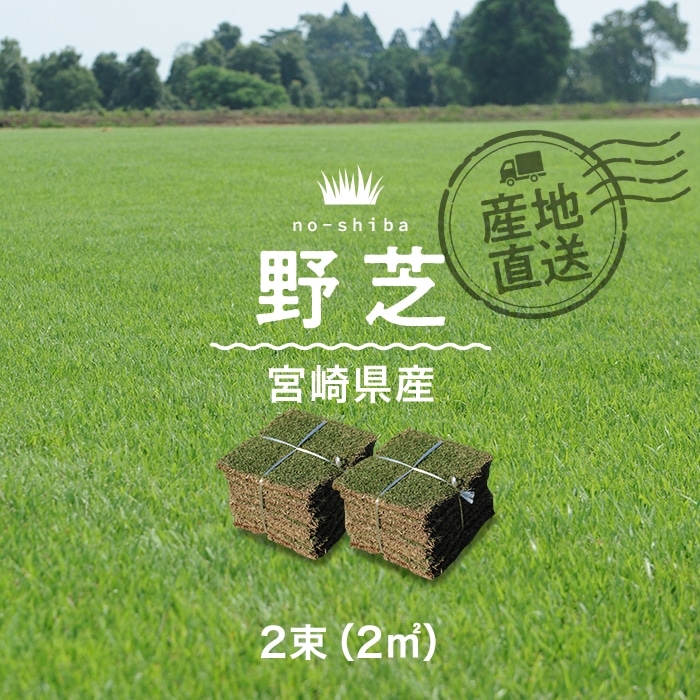 芝生 天然芝 野芝 宮崎県産 2束(2平米)入 ソッド | 人工芝の 芝生 天然芝 野芝 宮崎県産 2束(2平米)入 ソッド | 人工芝の