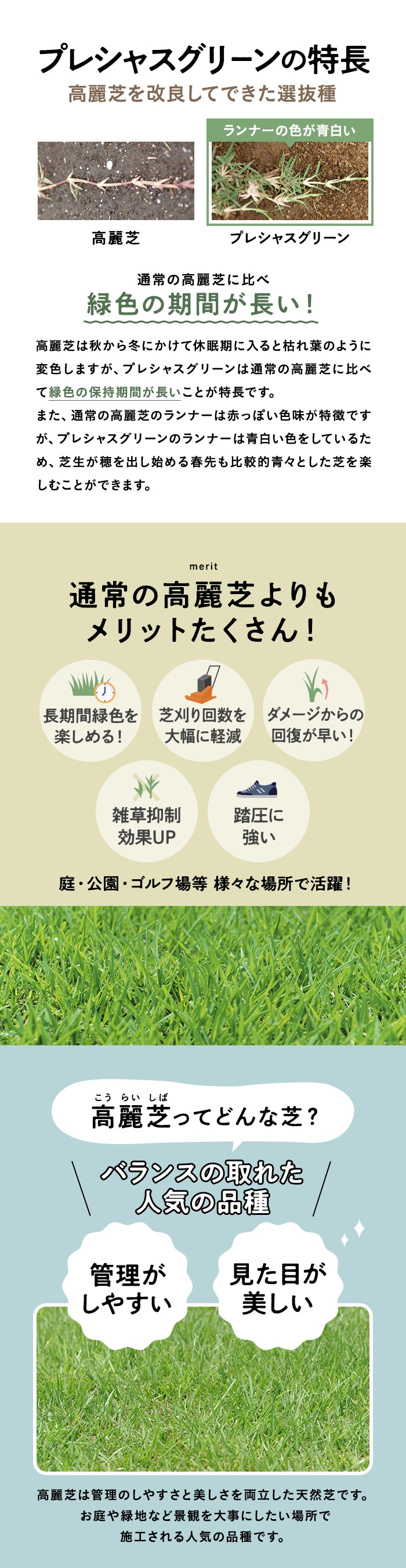 【クール便】芝生 天然芝 高麗芝 プレシャスグリーン 省管理型 2束(2平米)入