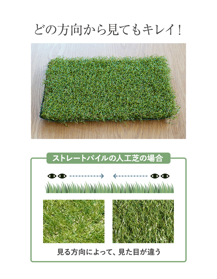 どの方向から見てもキレイ！