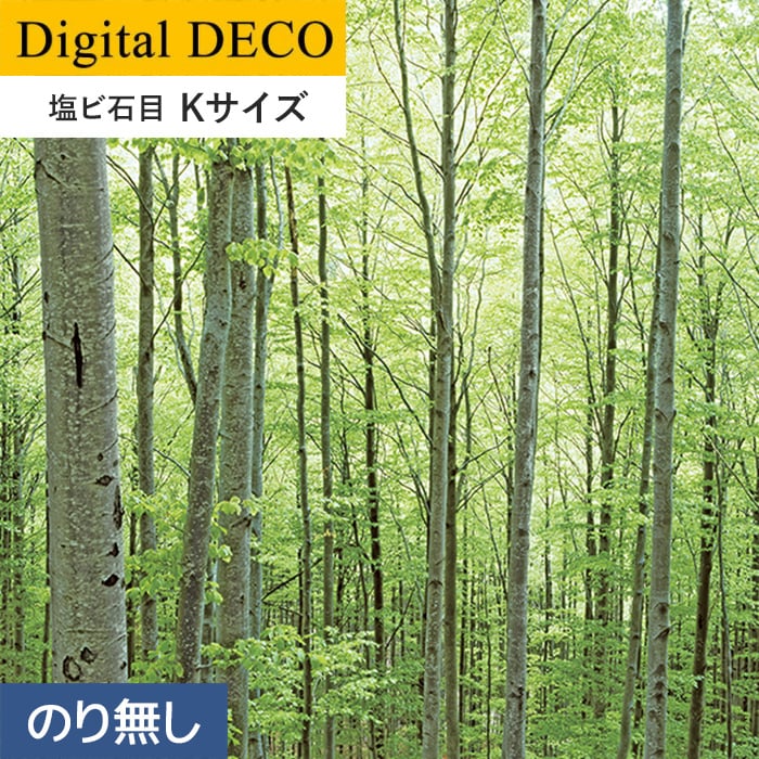 なローラー 壁紙 Kサイズ*D8083TK DIYSHOP RESTA PayPayモール店 - 通販 - PayPayモール クロス のり無し壁紙  リリカラ デジタル・デコ 森の惑星 新緑ブナの森 塩ビフラット があいちゃ - lacocinadesofy.com