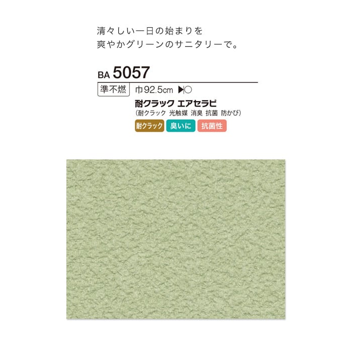 シンコール BIGACE 塗り壁・石目調 耐クラック エアセラピ BA5057