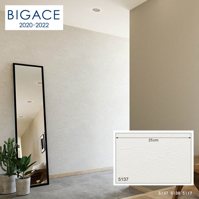 シンコール BIGACE 塗り壁・石目調 リフクリーン BA5137