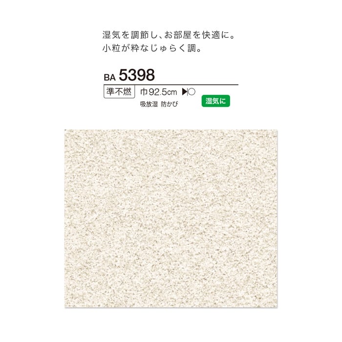 シンコール BIGACE 塗り壁・石目調 BA5398