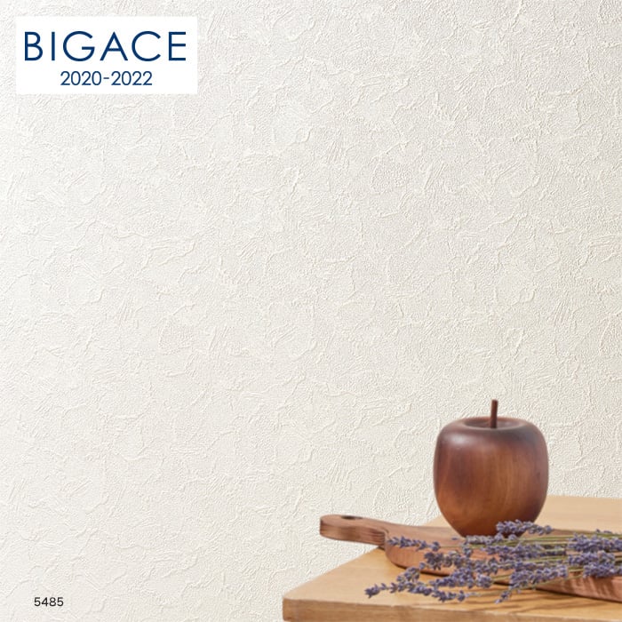 のり無し壁紙 シンコール Bigace 塗り壁 石目調 ハードタイプ 汚れ防止 Ba5485 Resta