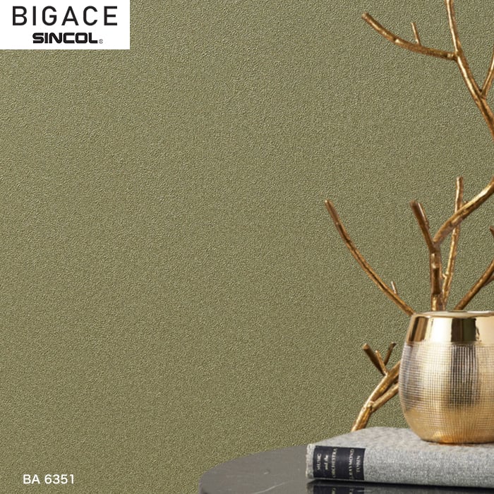シンコール BIGACE ミディアム BA6351