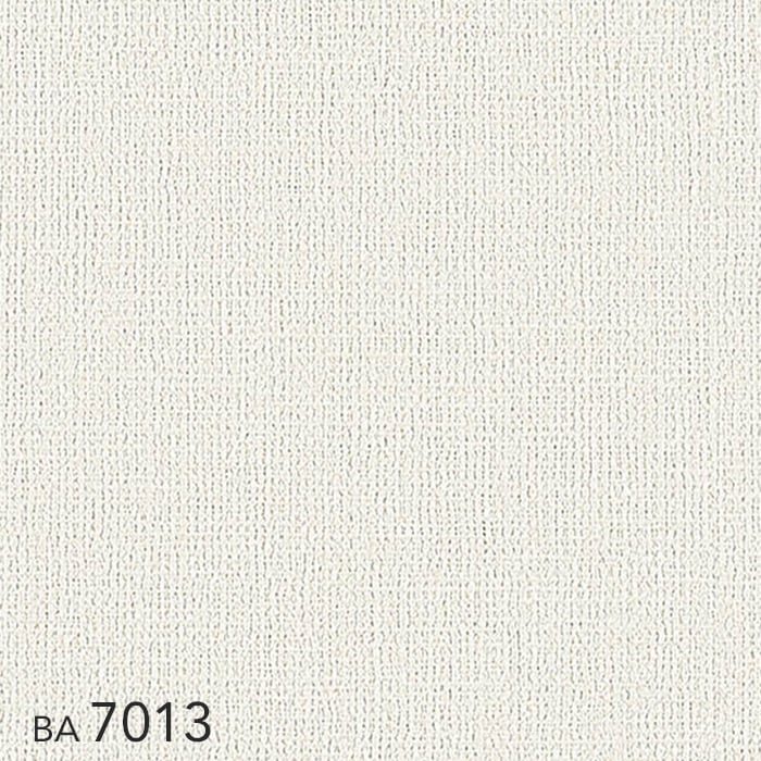 cs15-k-ba7013