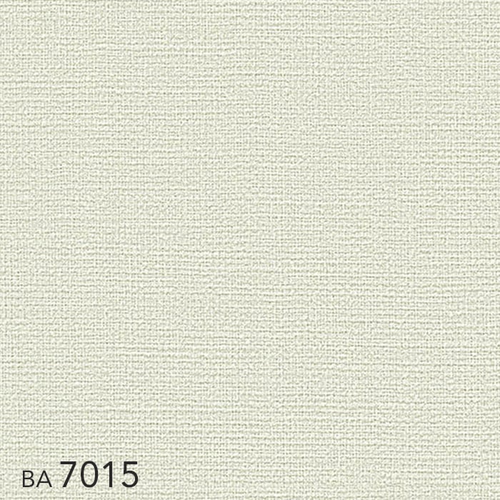 cs15-k-ba7015