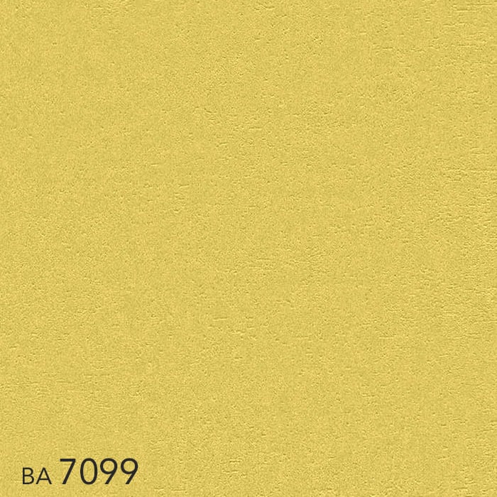 color chip