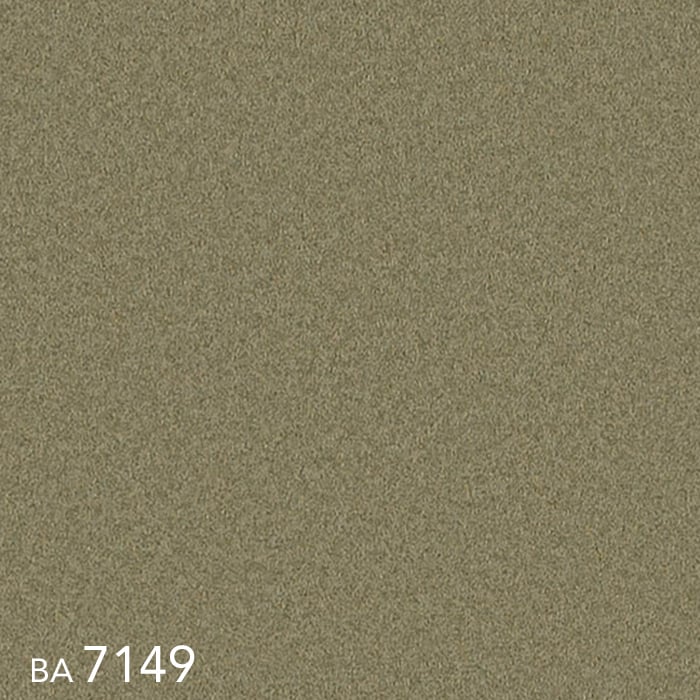 color chip