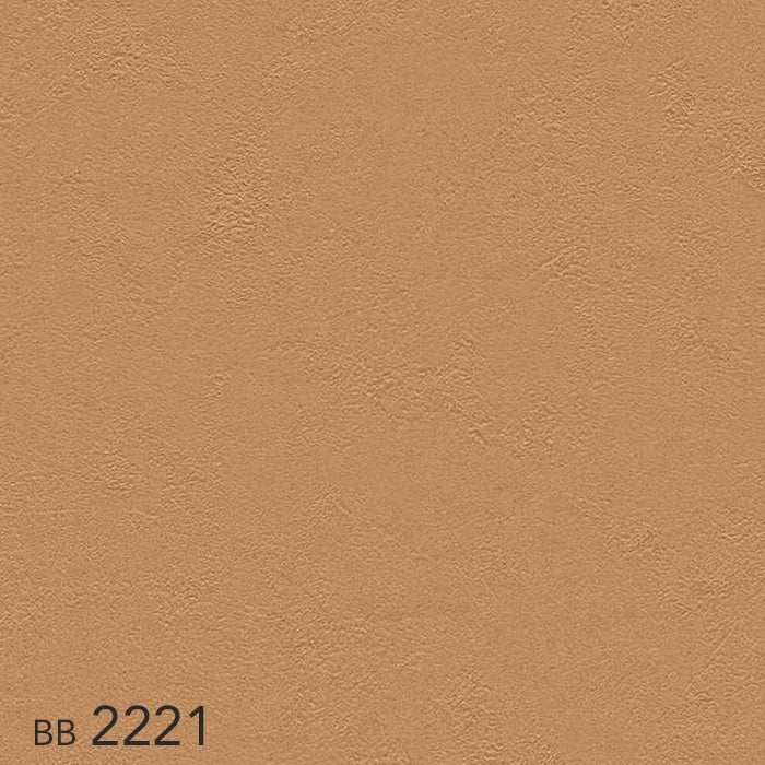 color chip