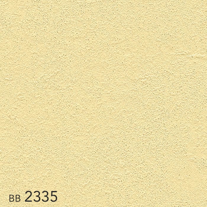 color chip
