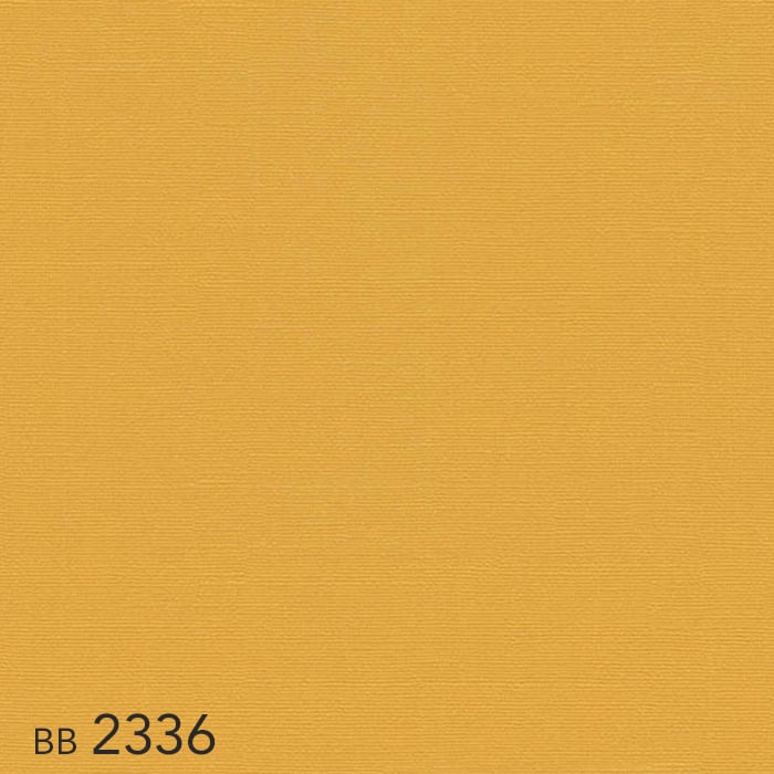 color chip
