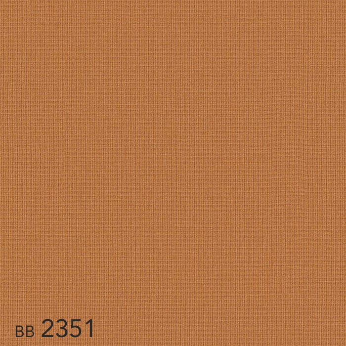 color chip