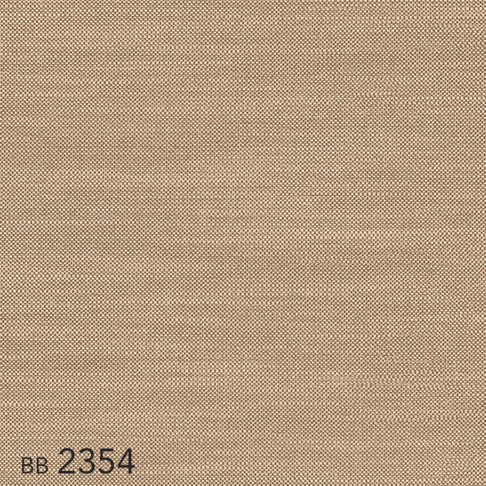 color chip