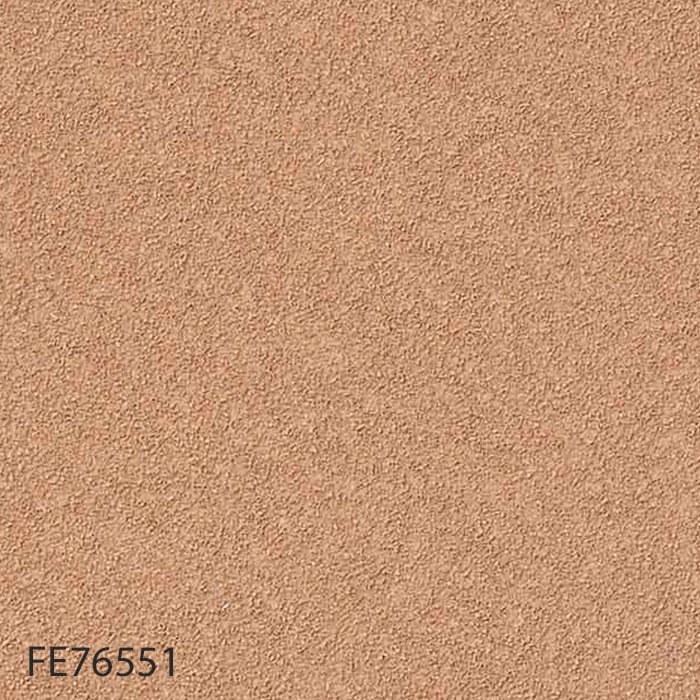 FE76551