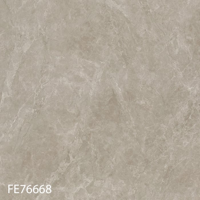 FE76668