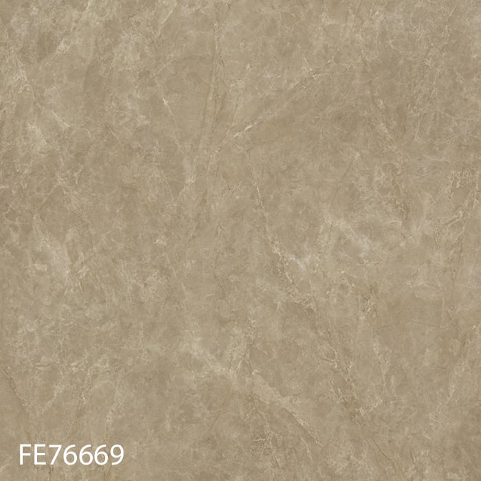 FE76669