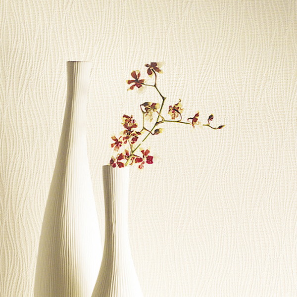 BOSEwm5236AC 送料込み 壁紙 のり無し サンゲツ FINE ベーシックセレクション FE76229