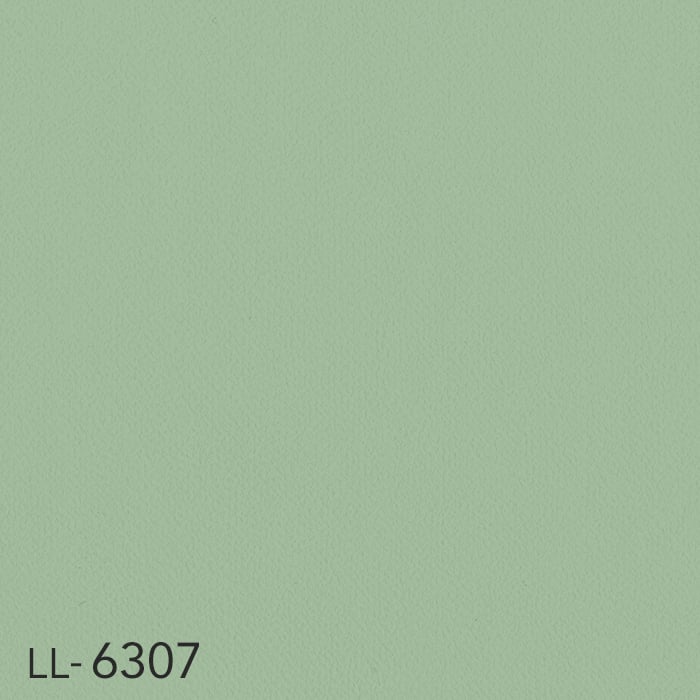 color chip
