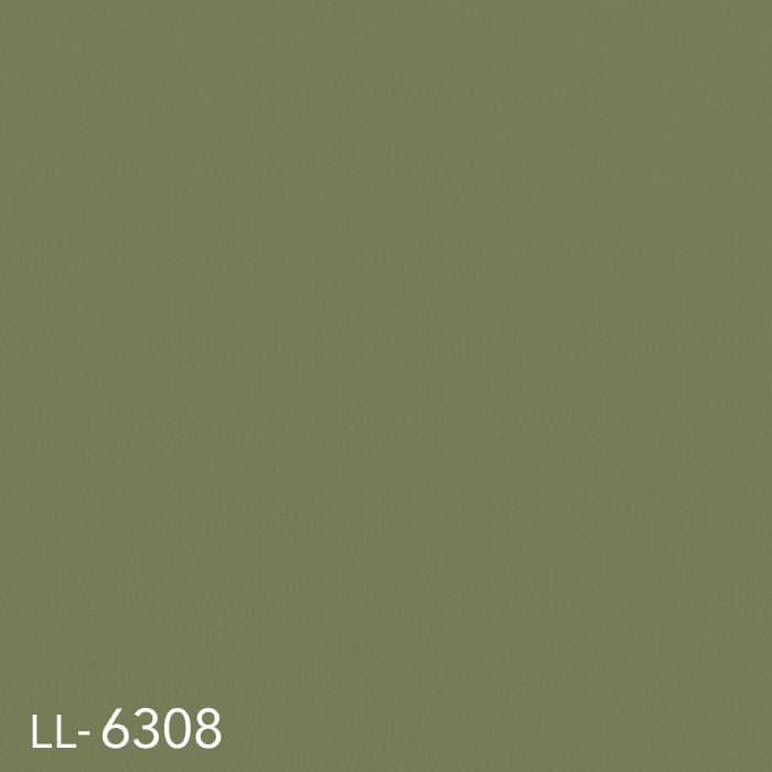 color chip