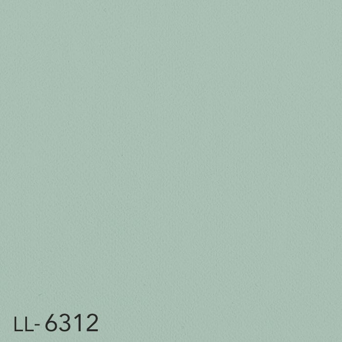color chip