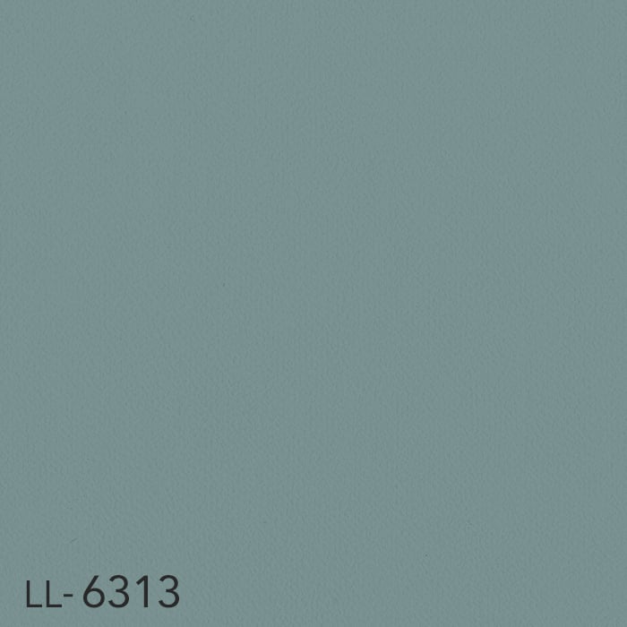color chip