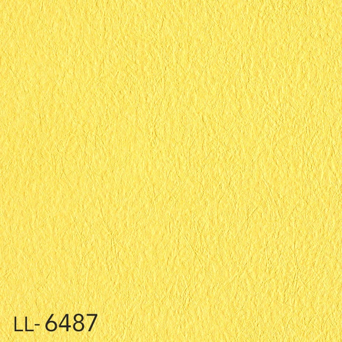 color chip