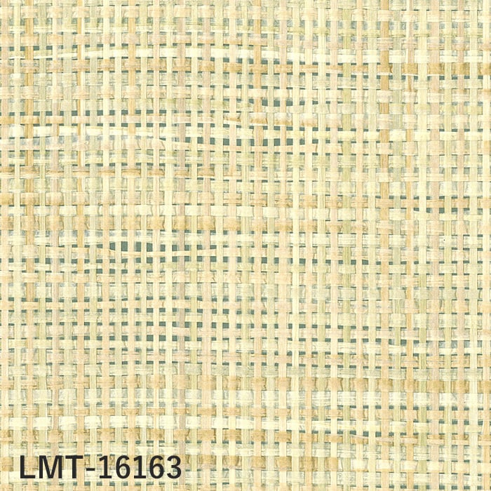 color chip