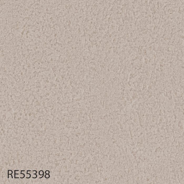 RE55398