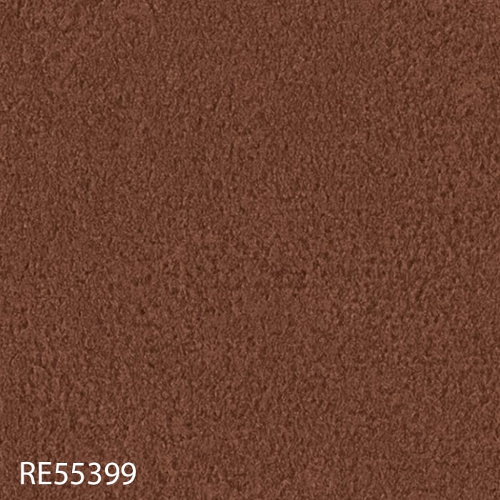 RE55399