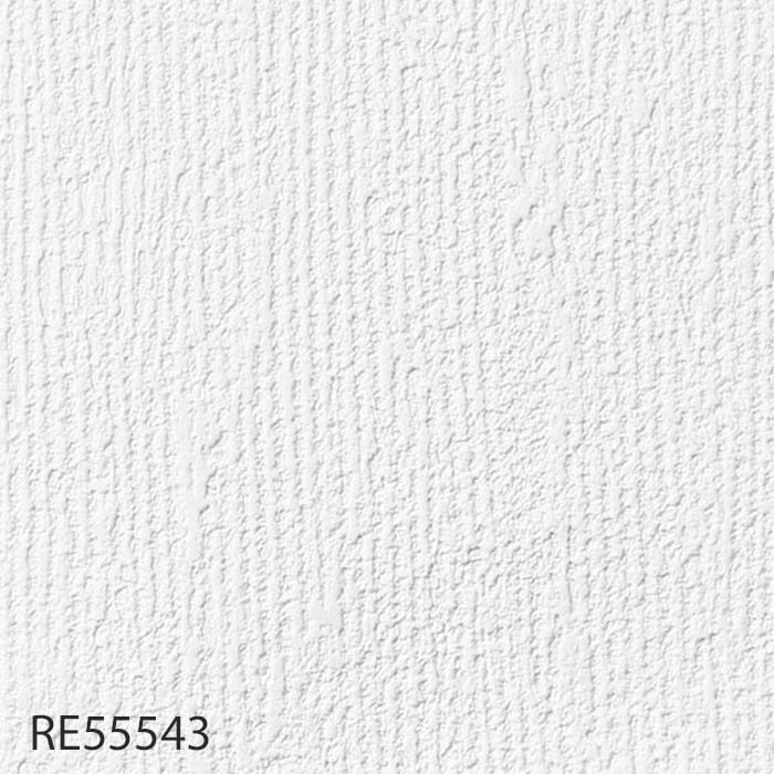 RE55543