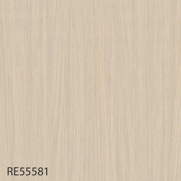 RE55581