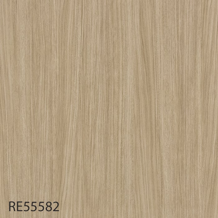 RE55582