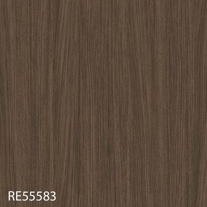 RE55583