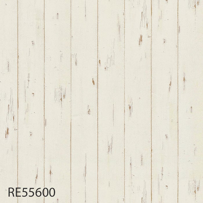 RE55600