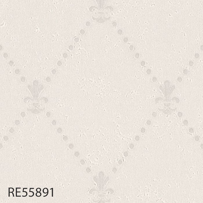 RE55891