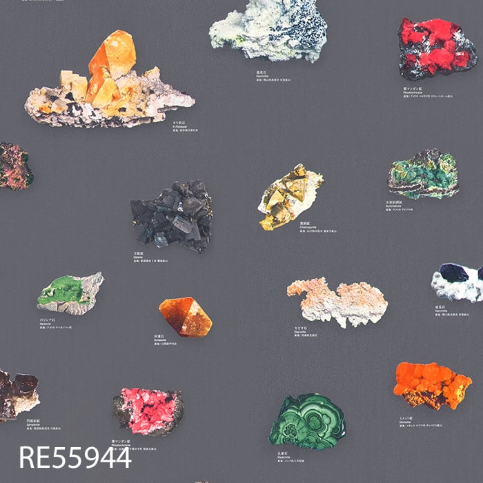 RE55944