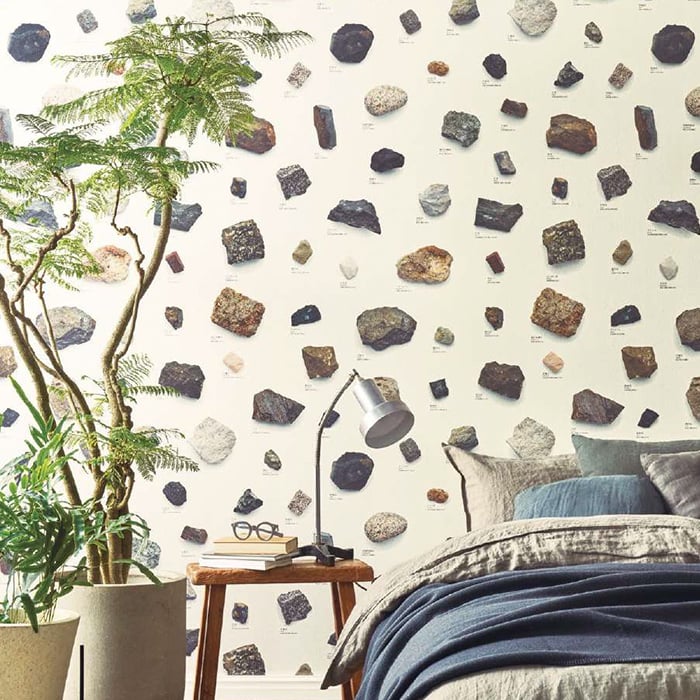 のりきく re55945-g.jpg