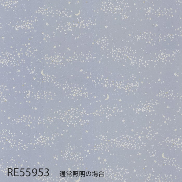 RE55953