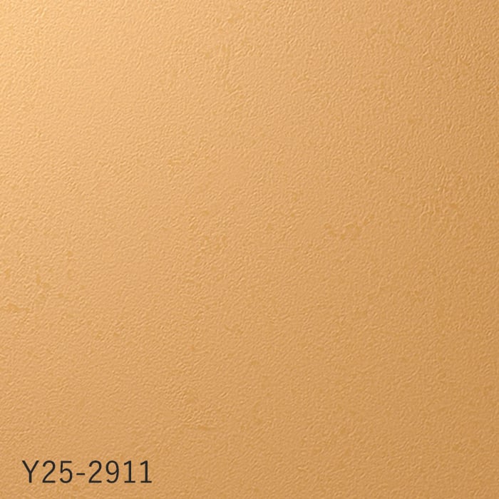color chip