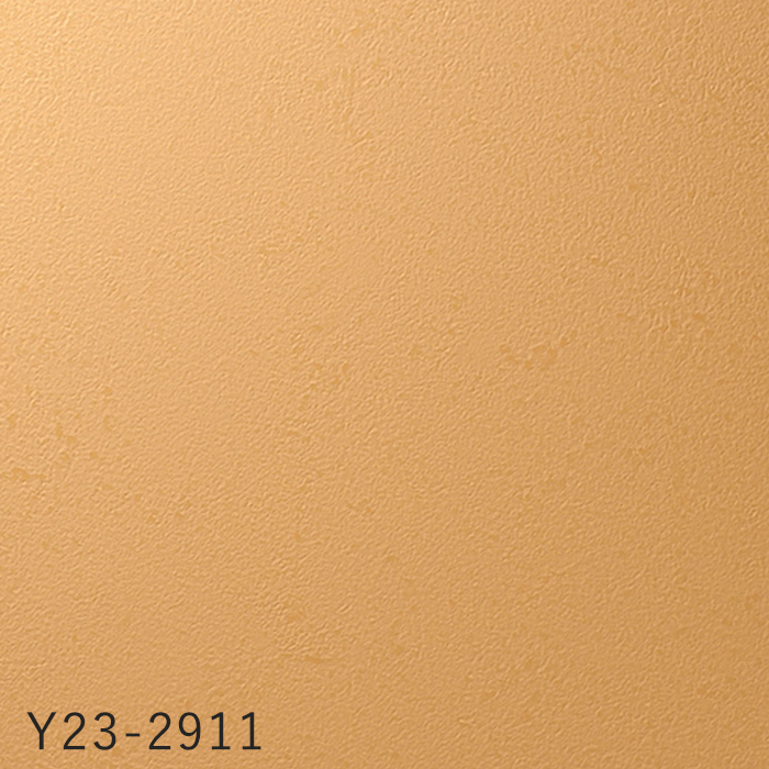 color chip