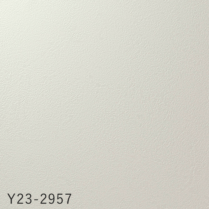 color chip