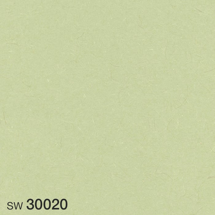 color chip