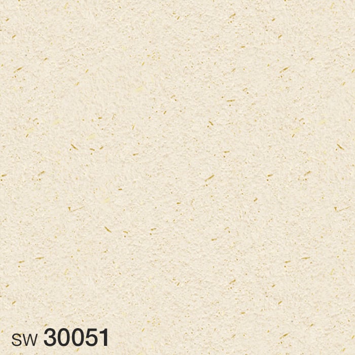 SW30051