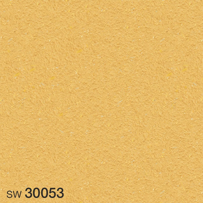 SW30053